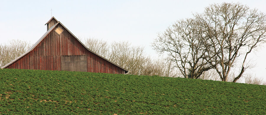 Barn scenery