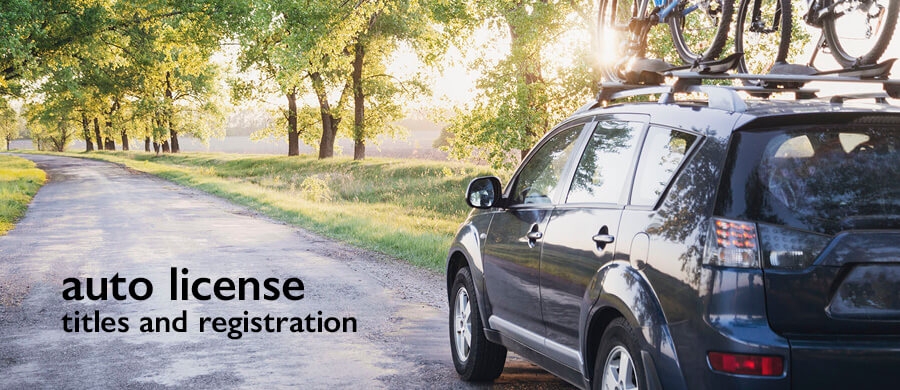 Business & Special License Forms