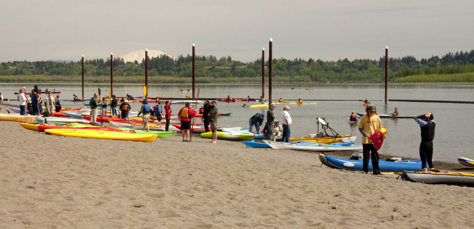 Vancouver Lake Regional Park Clark County Washington