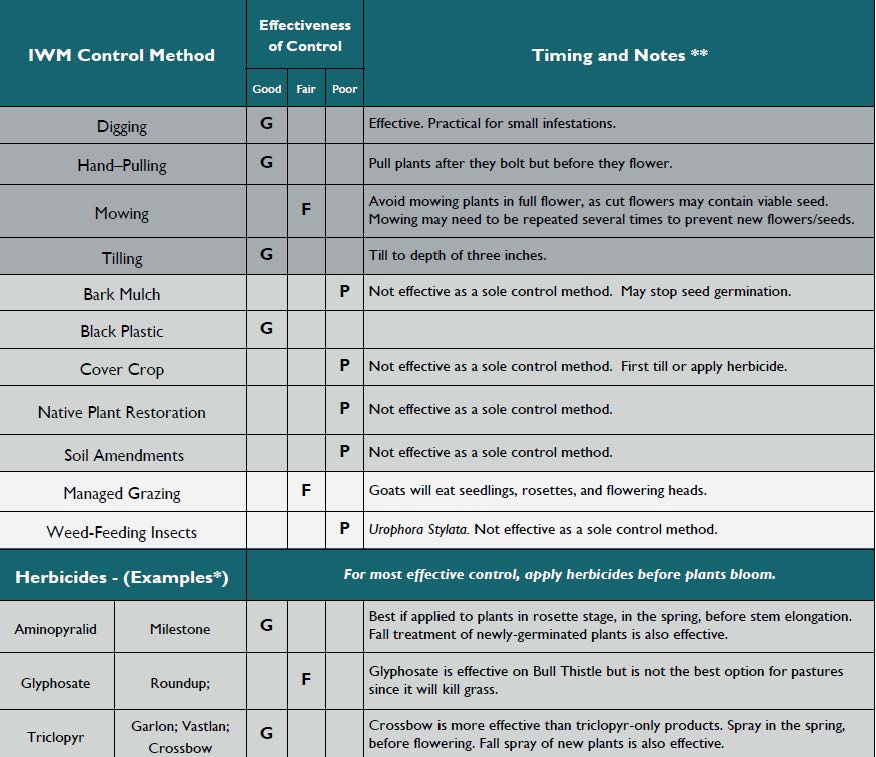 Chart for controlling bull thistle