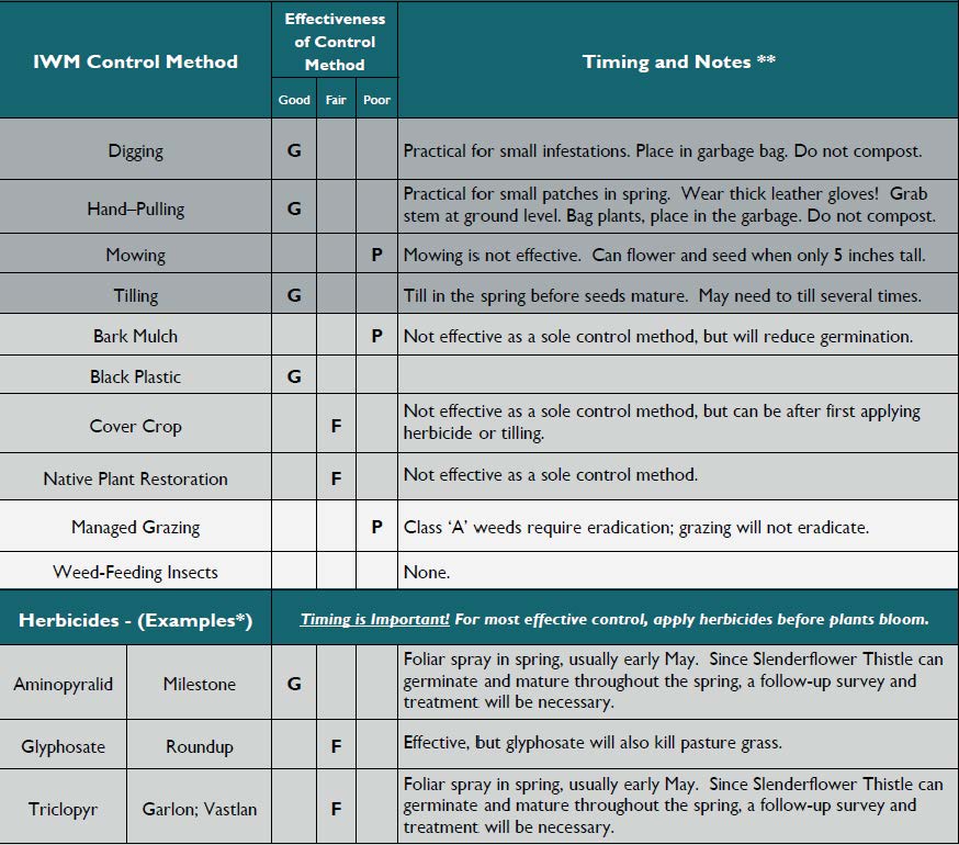 Chart for controlling ​slenderflower thistle