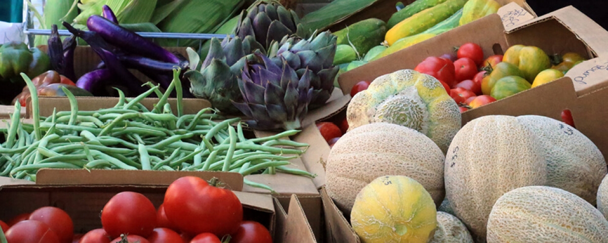 farmers_market_produce produce at a farmers market