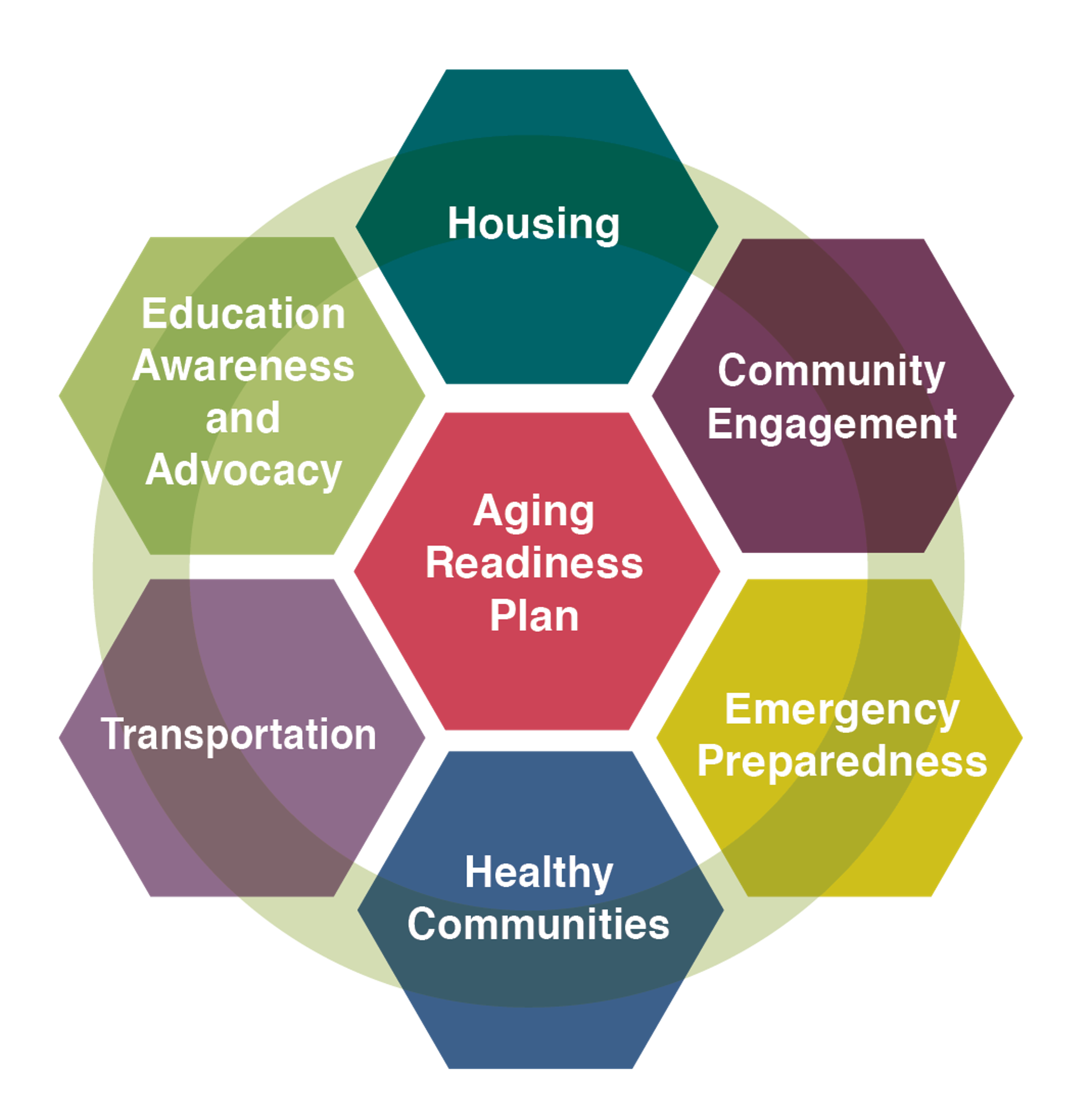 COA Graphic COA Graphic