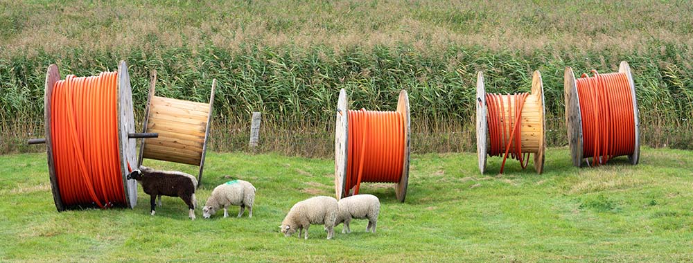 4 spools of broadband cable in a grassy area with sheep and corn in the background