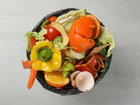 Compost pail bucket of food scraps