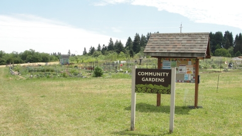 The Community Gardens at the 78th Street Heritage Farm.l