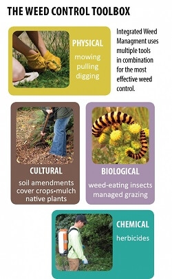 Weed_control_toolbox.jpg Weed control toolbox graphic.