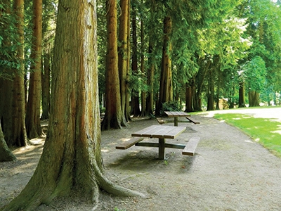 Hazel Dell Community Park Hazel Dell Community Park